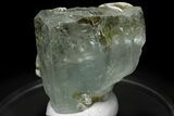 Gemmy Aquamarine Crystal with Muscovite - Pakistan #229394-1